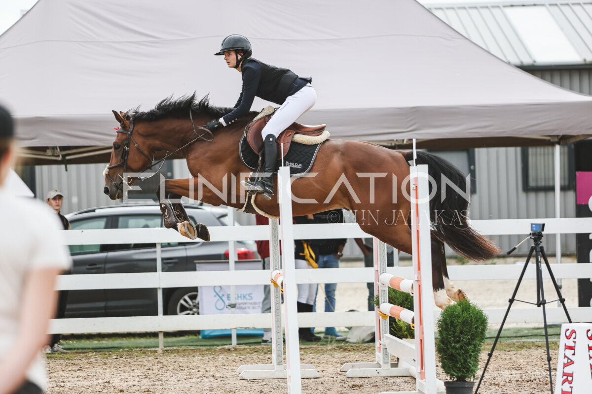 NHTS_2026_4_95cm_219