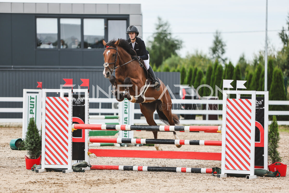 NHTS_2026_4_95cm_220