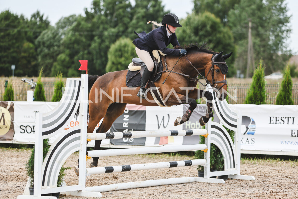 NHTS_2026_4_95cm_223