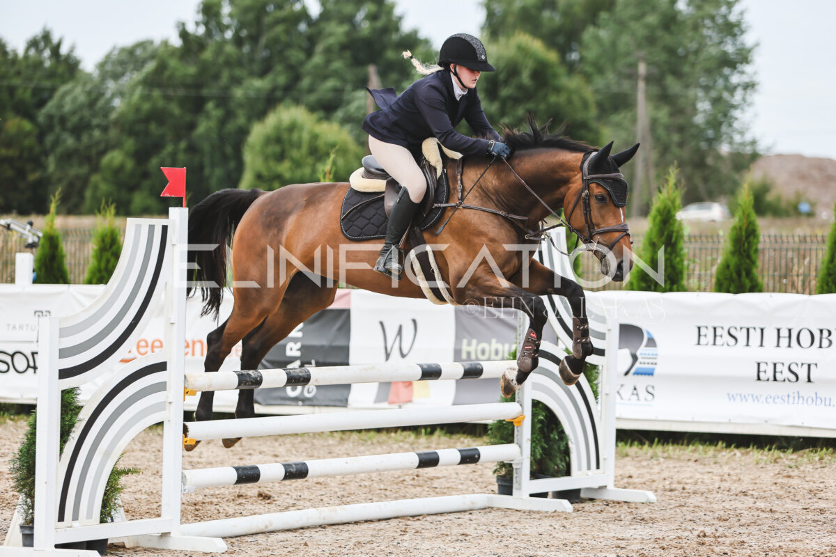 NHTS_2026_4_95cm_224