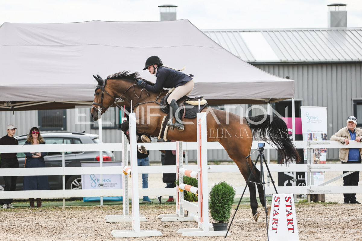 NHTS_2026_4_95cm_225