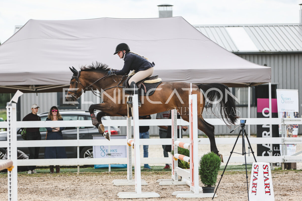 NHTS_2026_4_95cm_227