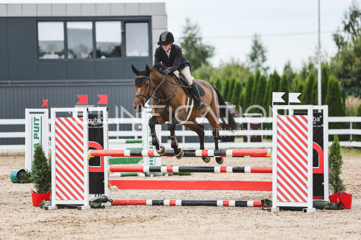 NHTS_2026_4_95cm_229