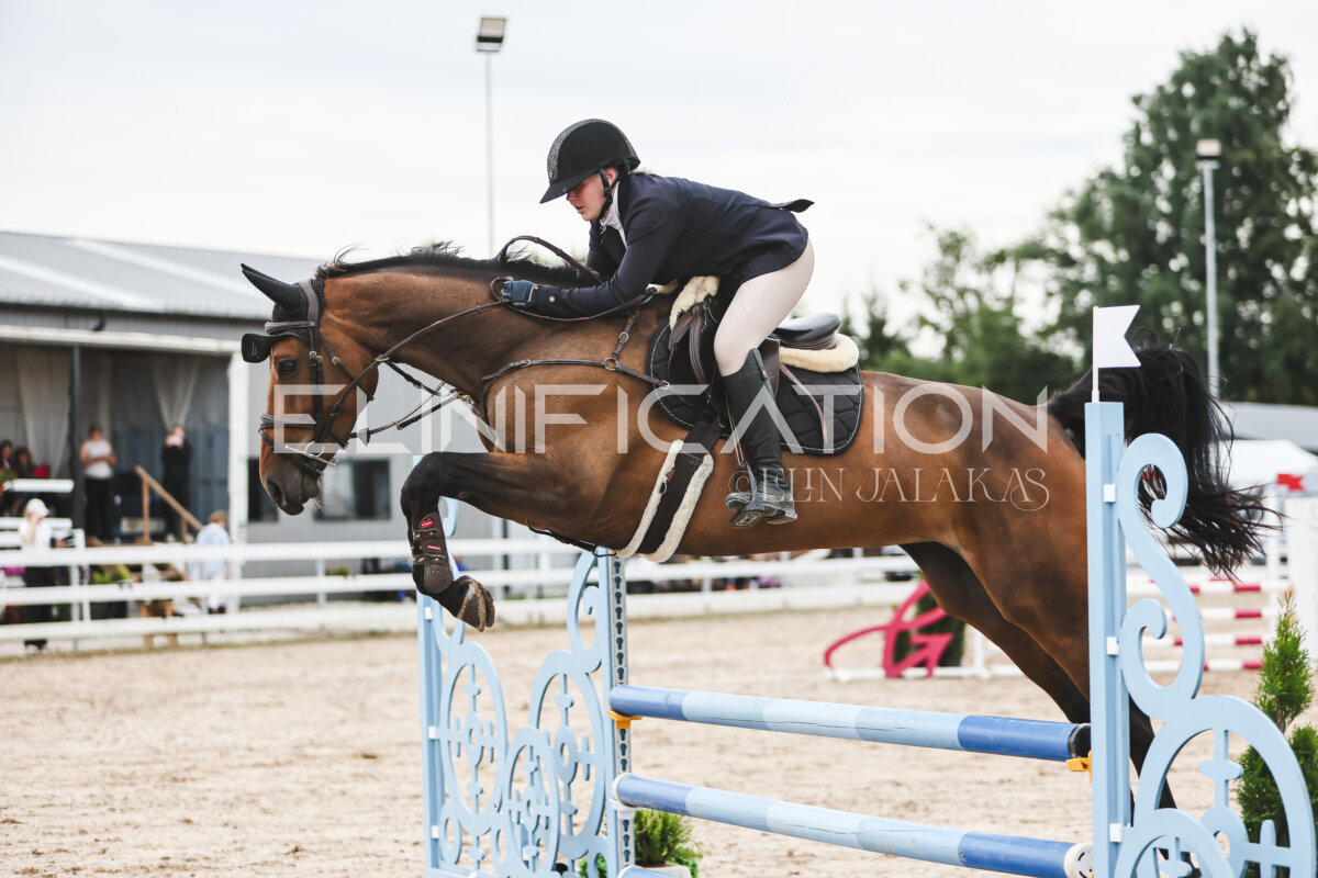 NHTS_2026_4_95cm_230