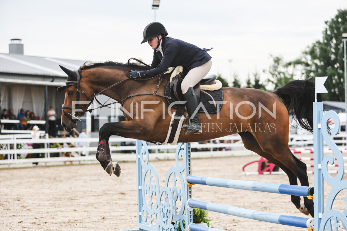 NHTS_2026_4_95cm_231