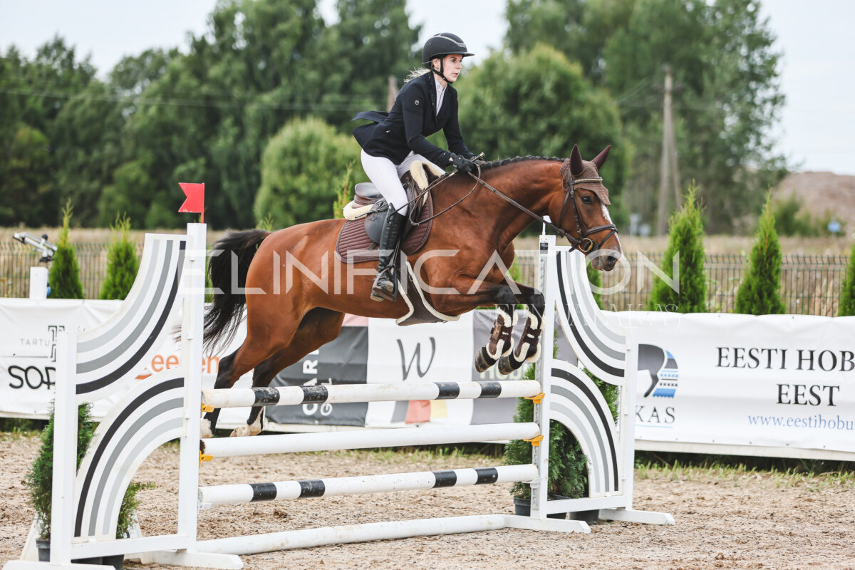NHTS_2026_4_95cm_232