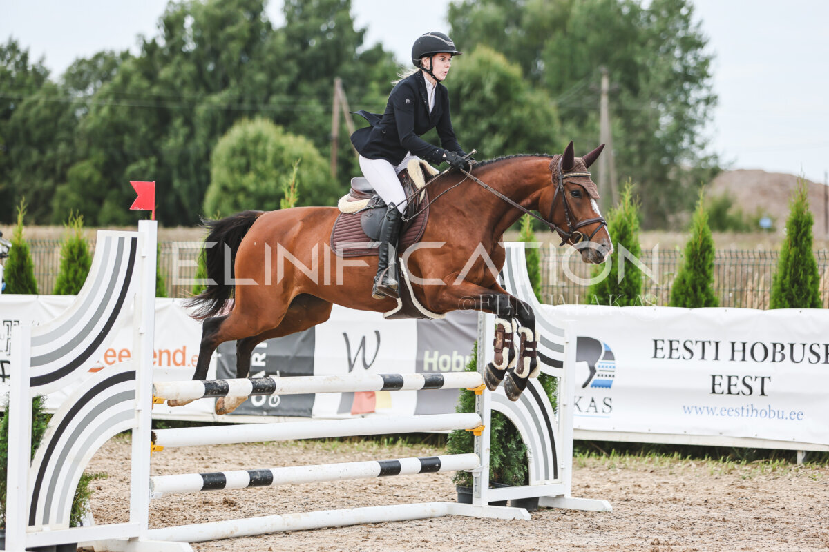NHTS_2026_4_95cm_233