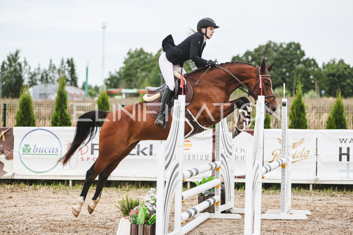 NHTS_2026_4_95cm_234