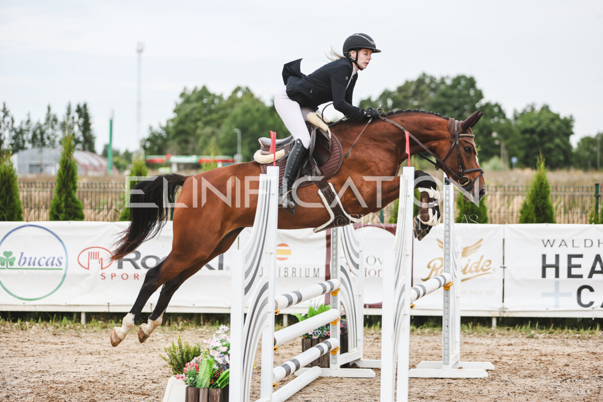 NHTS_2026_4_95cm_235