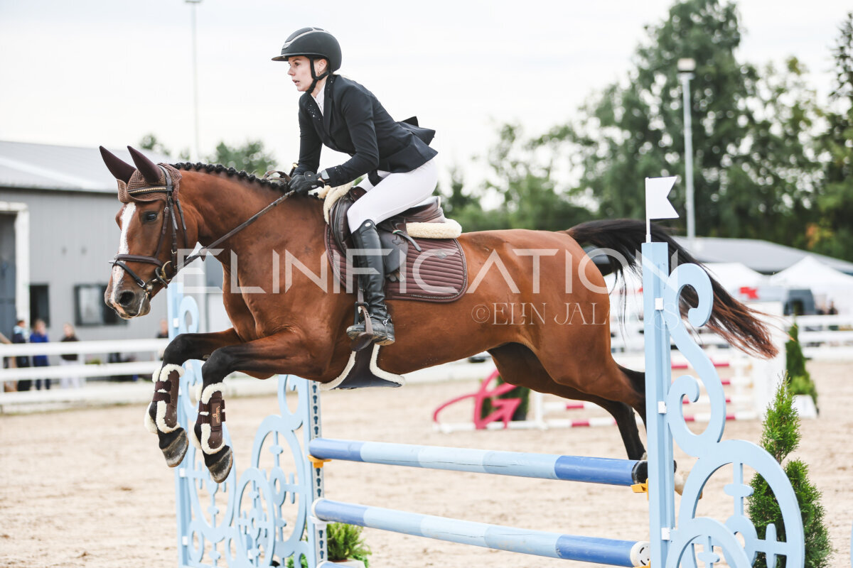 NHTS_2026_4_95cm_240
