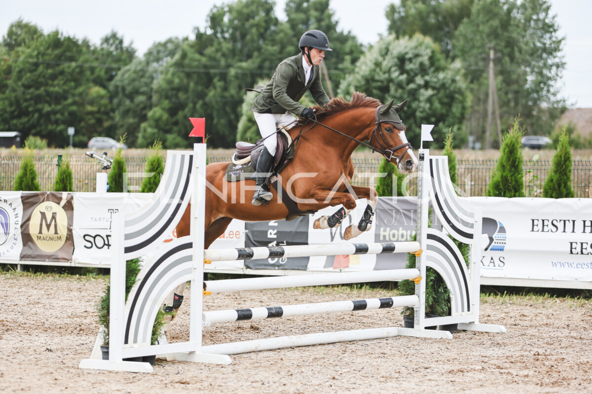 NHTS_2026_4_95cm_242