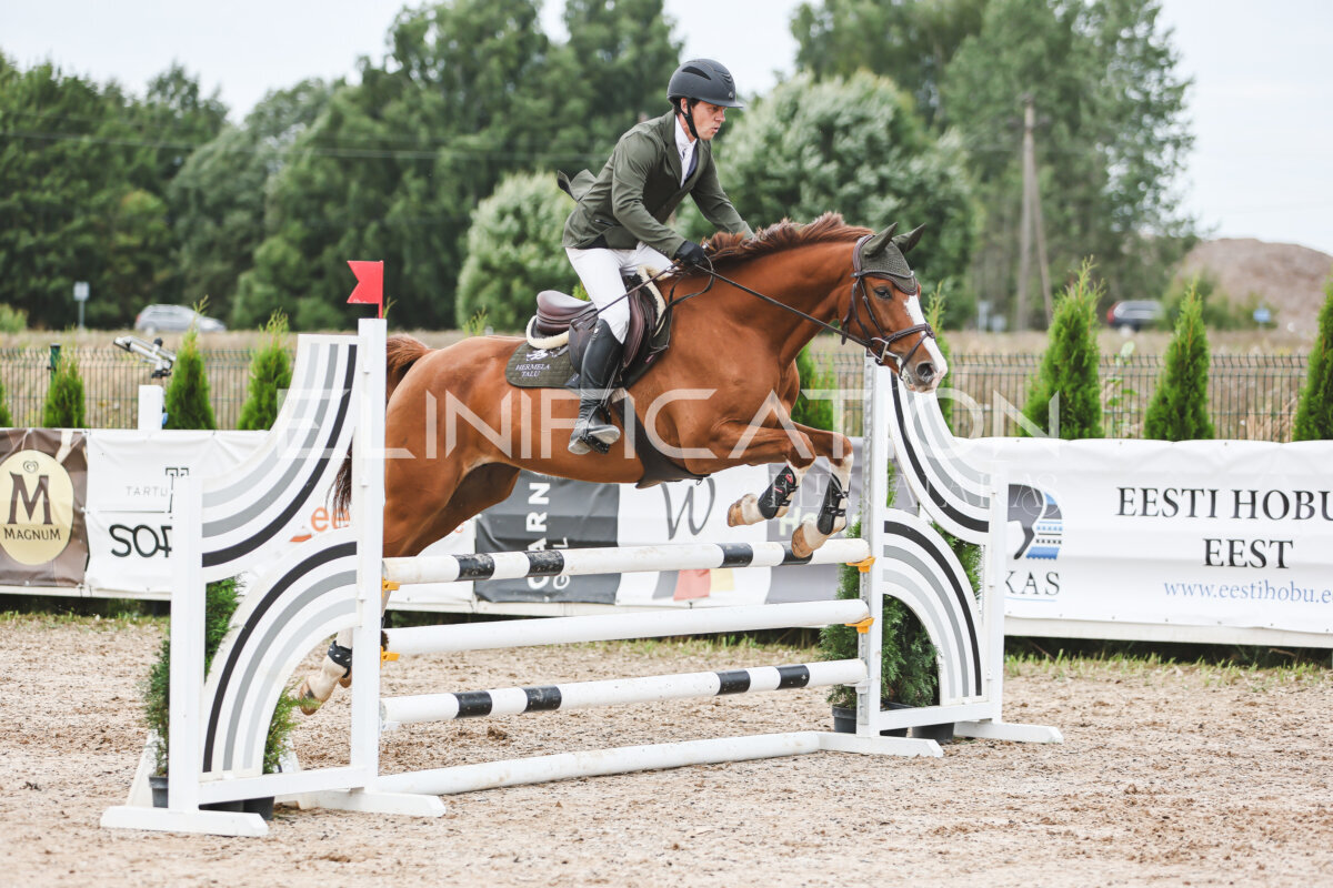 NHTS_2026_4_95cm_243