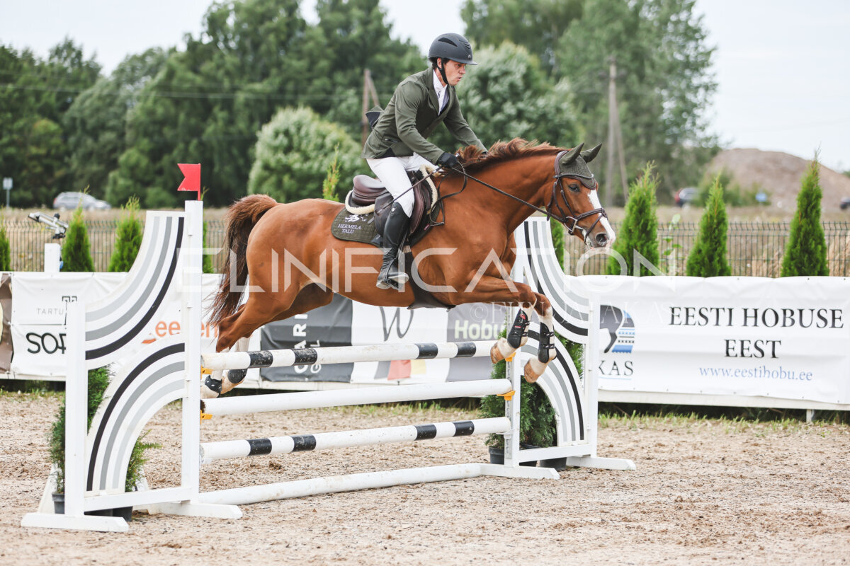NHTS_2026_4_95cm_244