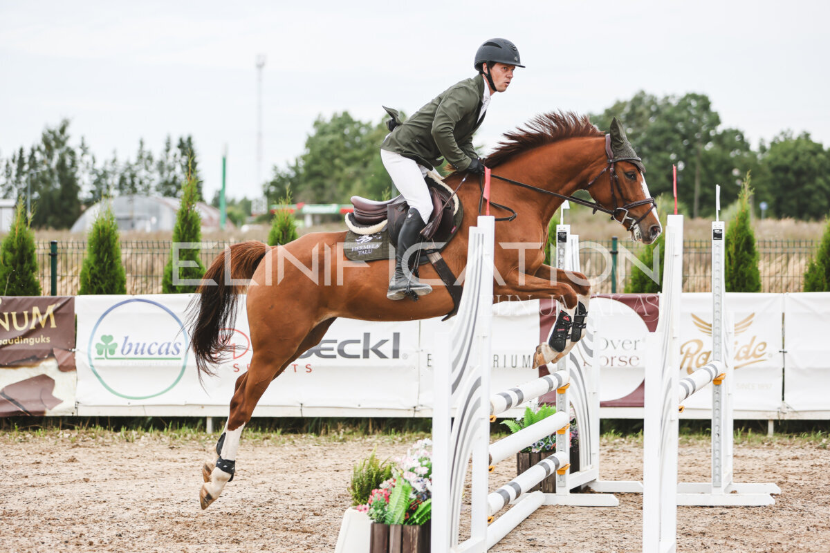 NHTS_2026_4_95cm_245