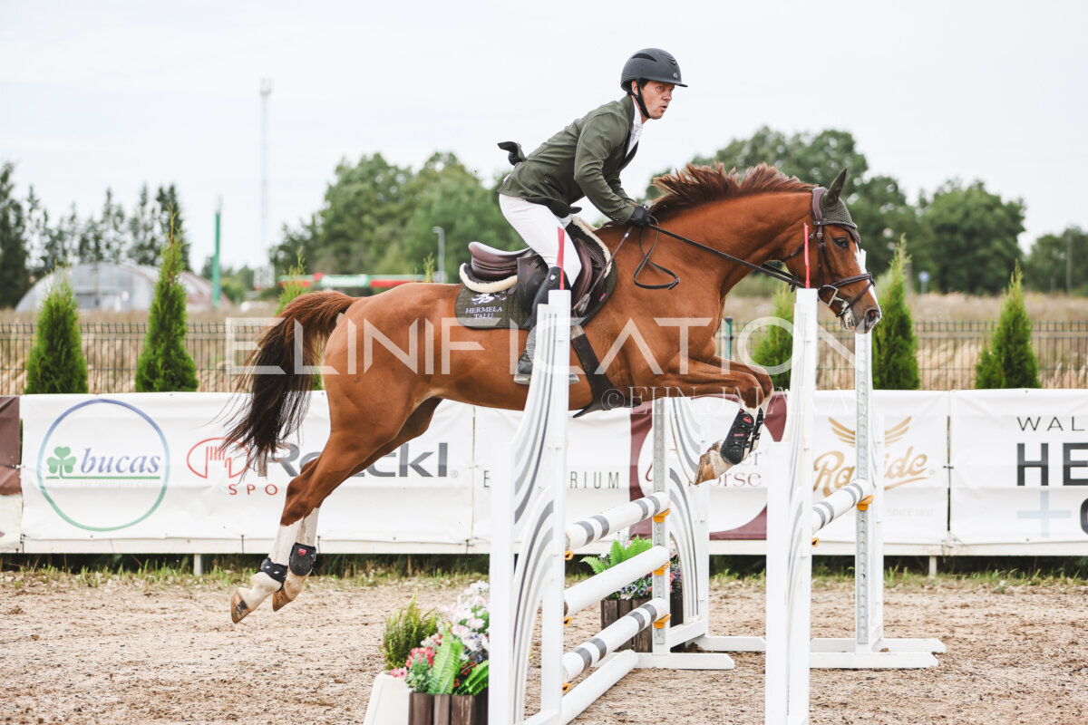 NHTS_2026_4_95cm_246