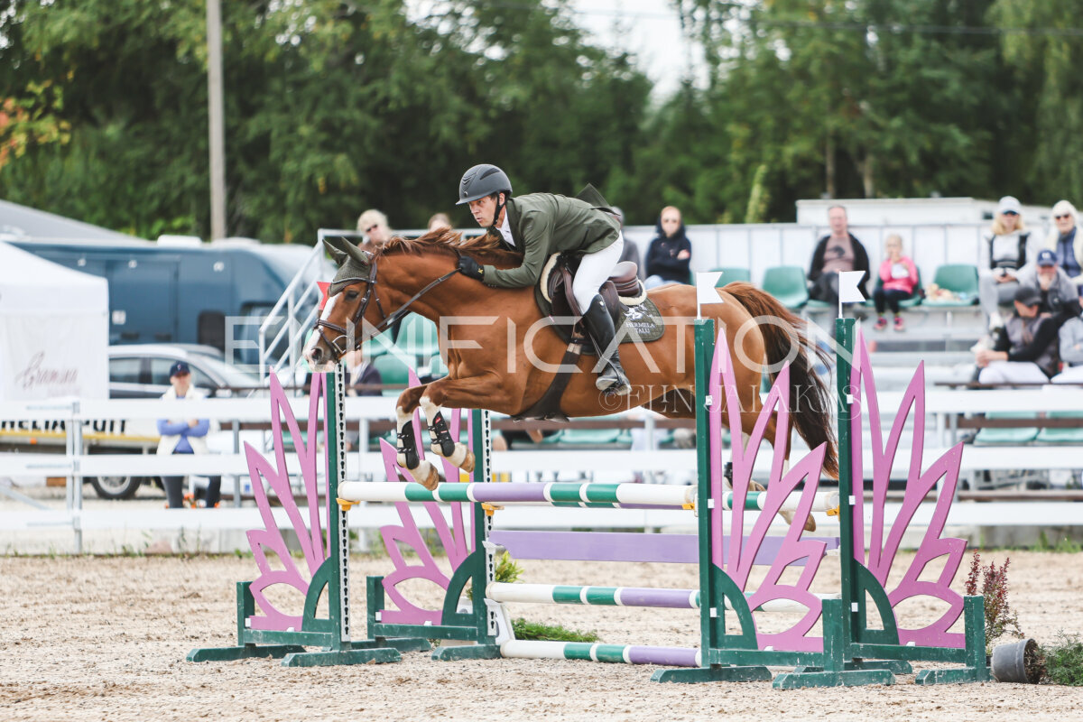 NHTS_2026_4_95cm_249