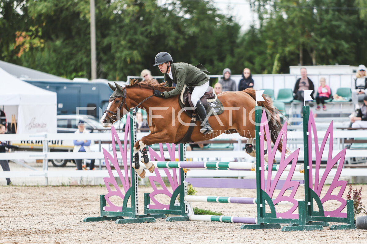 NHTS_2026_4_95cm_250