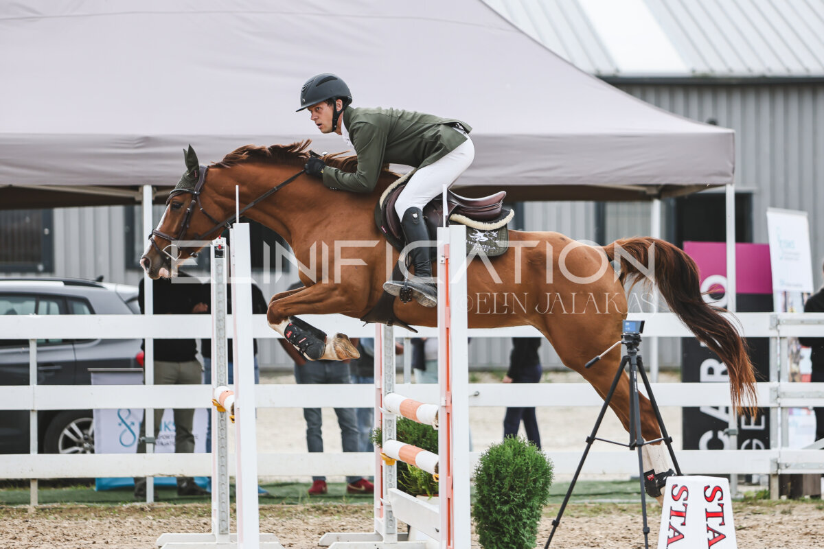 NHTS_2026_4_95cm_251
