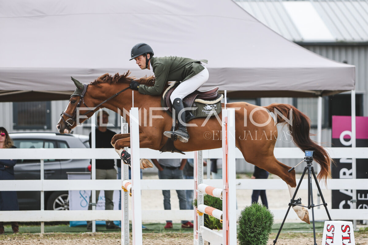NHTS_2026_4_95cm_252
