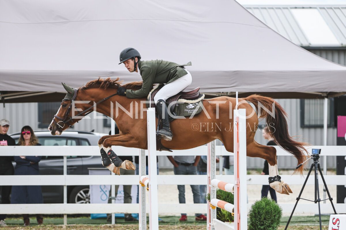 NHTS_2026_4_95cm_253