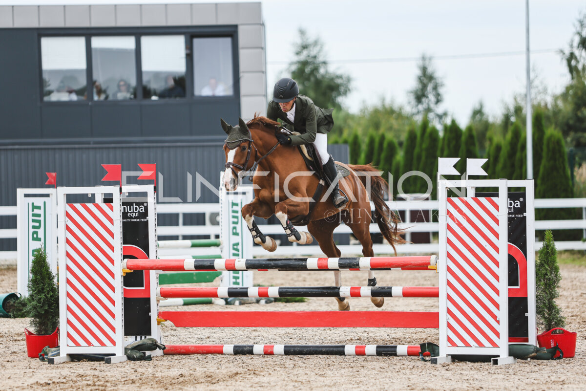 NHTS_2026_4_95cm_254