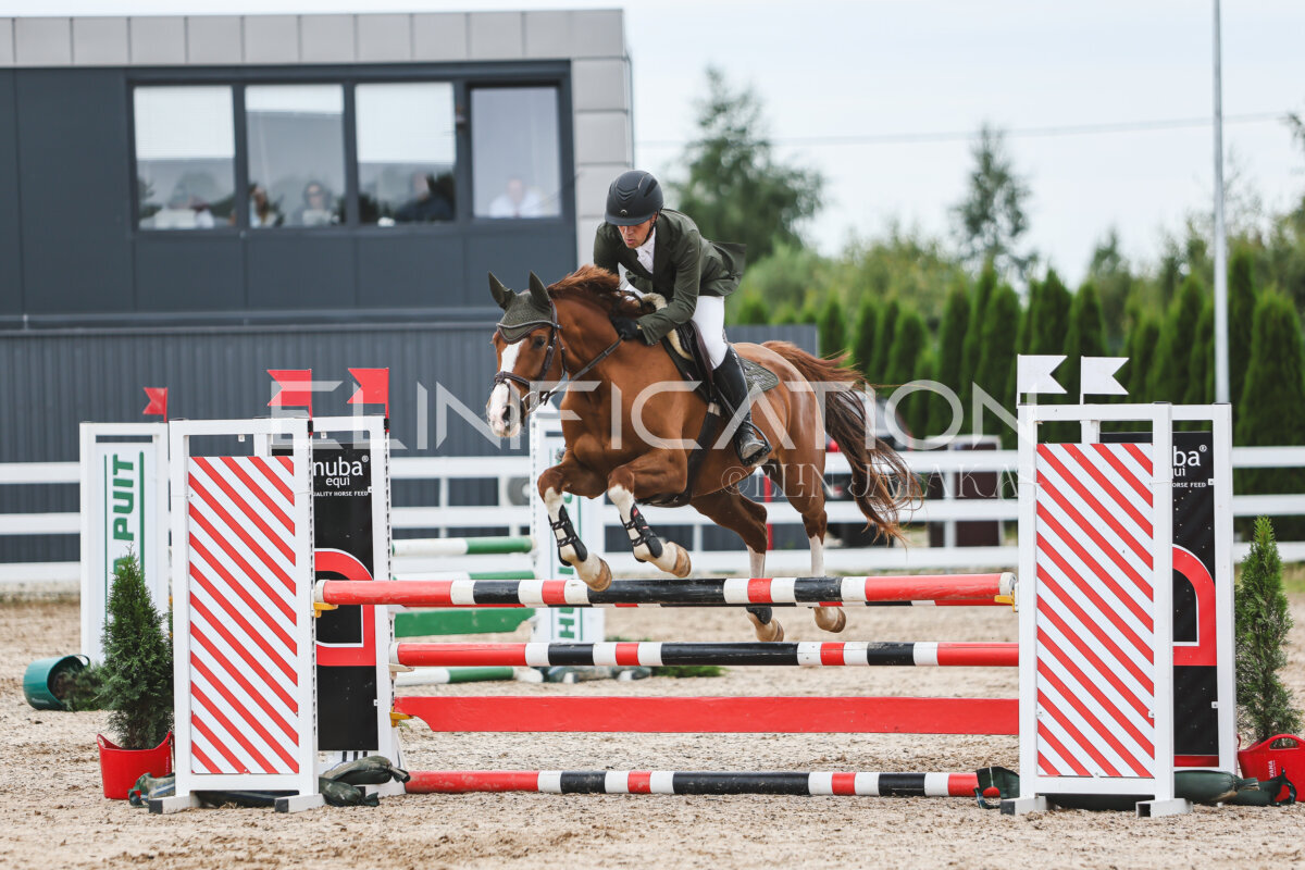 NHTS_2026_4_95cm_255