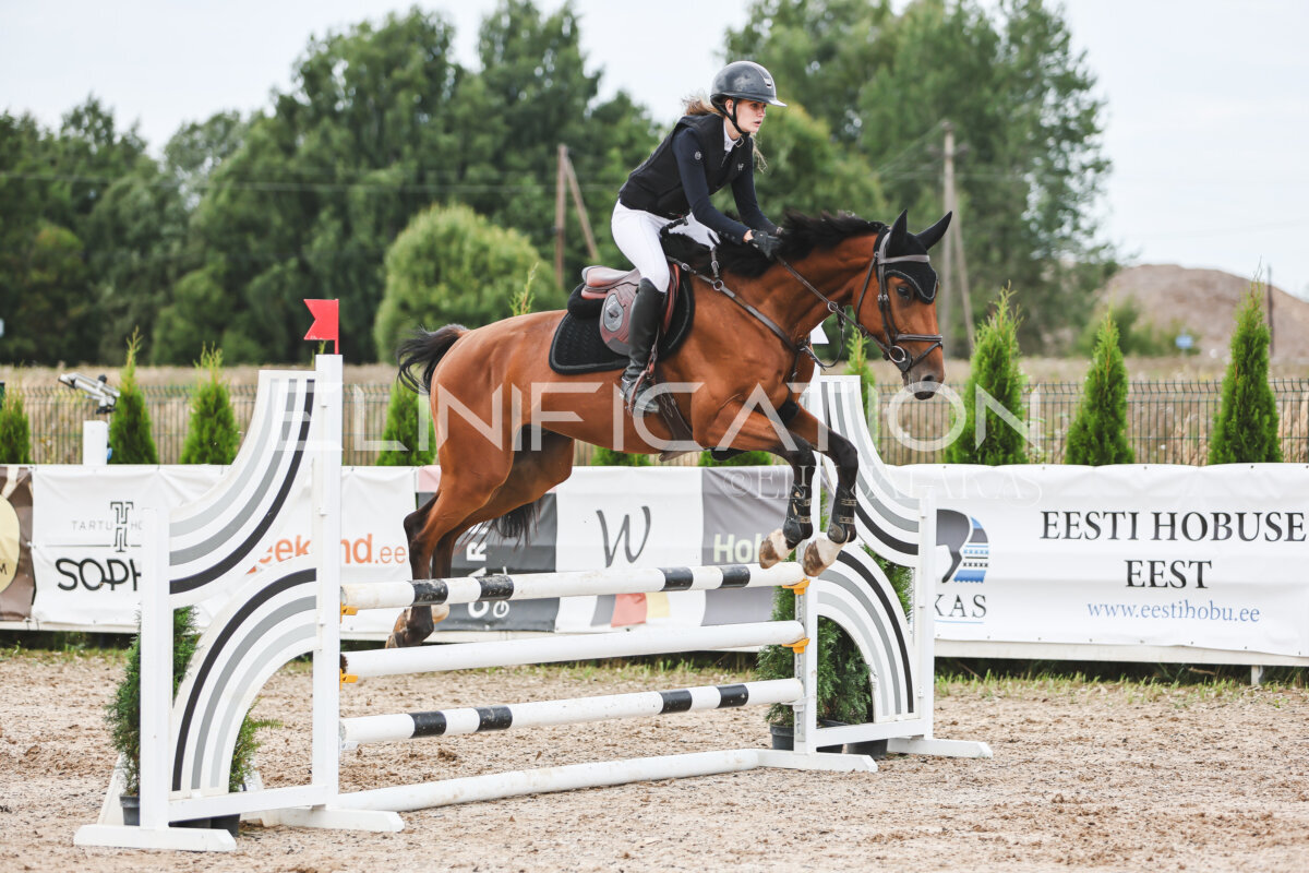NHTS_2026_4_95cm_258