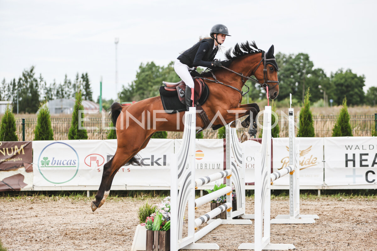 NHTS_2026_4_95cm_259