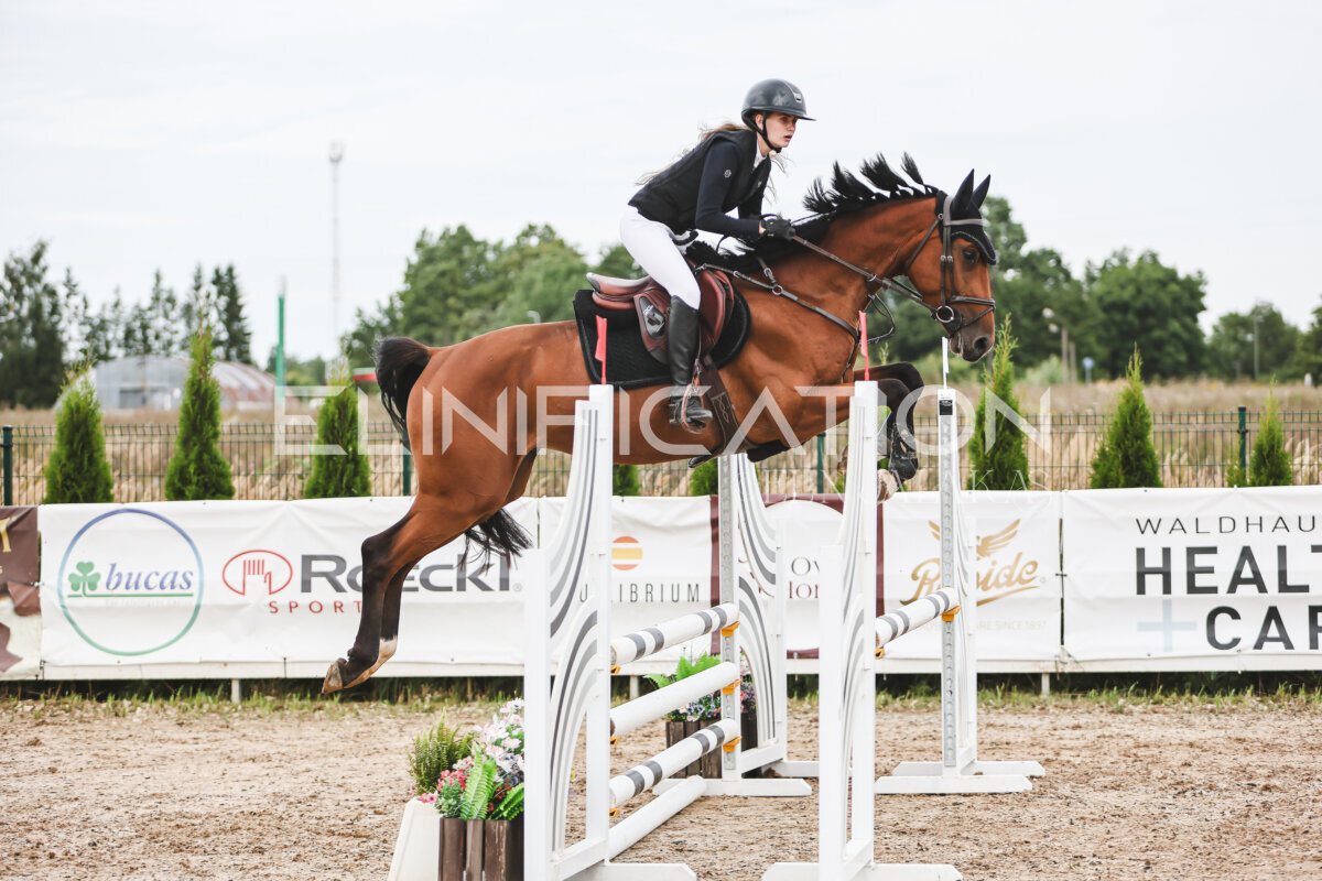 NHTS_2026_4_95cm_260