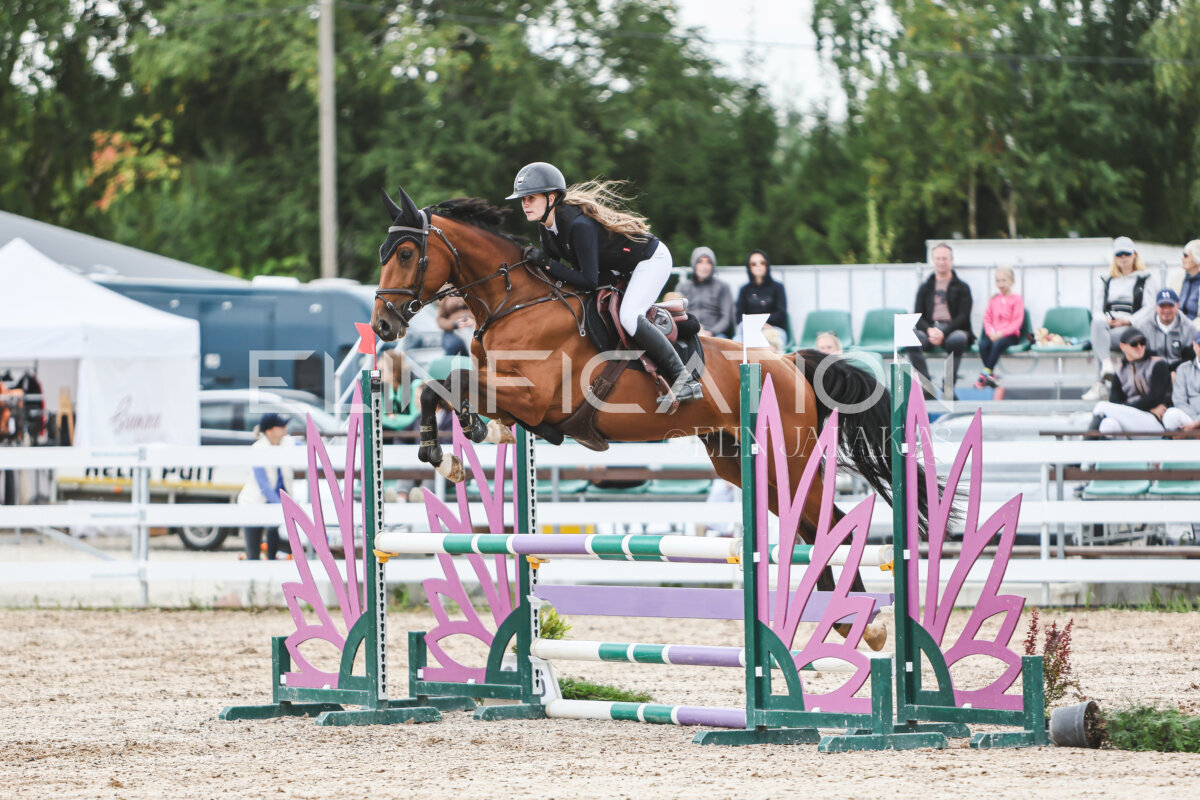 NHTS_2026_4_95cm_263