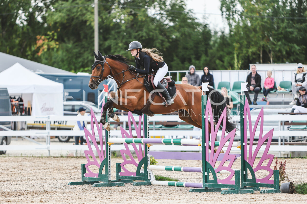 NHTS_2026_4_95cm_264