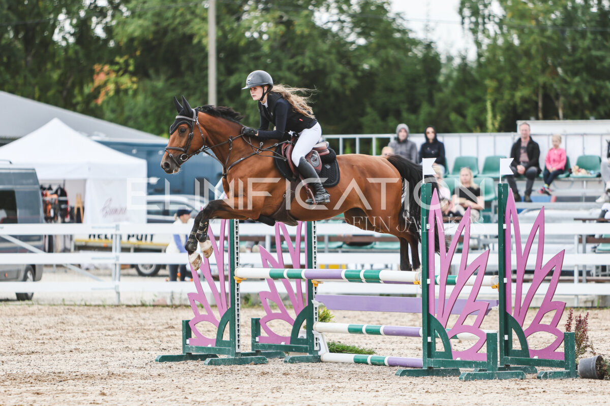NHTS_2026_4_95cm_265