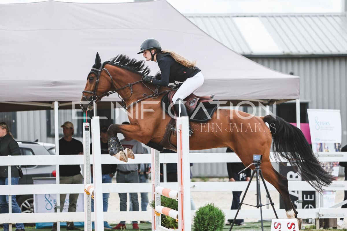 NHTS_2026_4_95cm_267