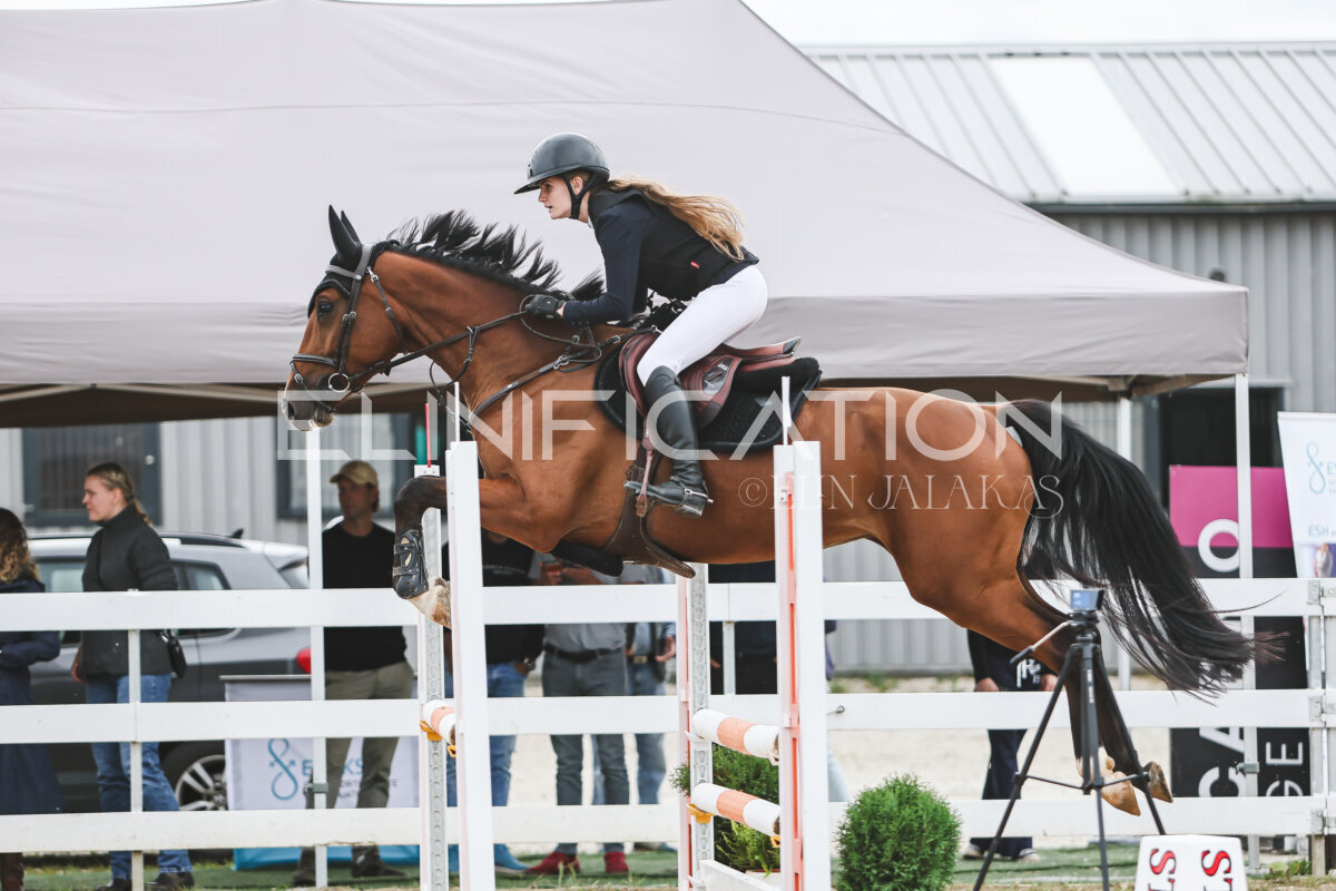 NHTS_2026_4_95cm_268