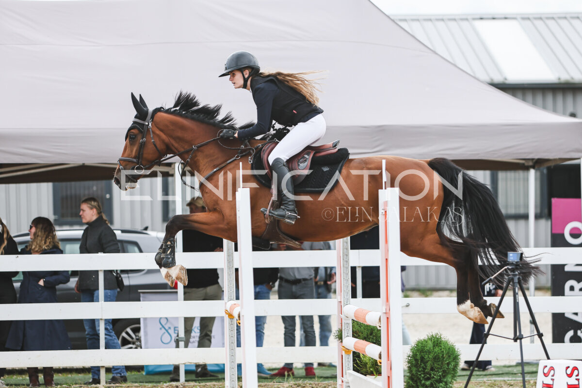 NHTS_2026_4_95cm_269