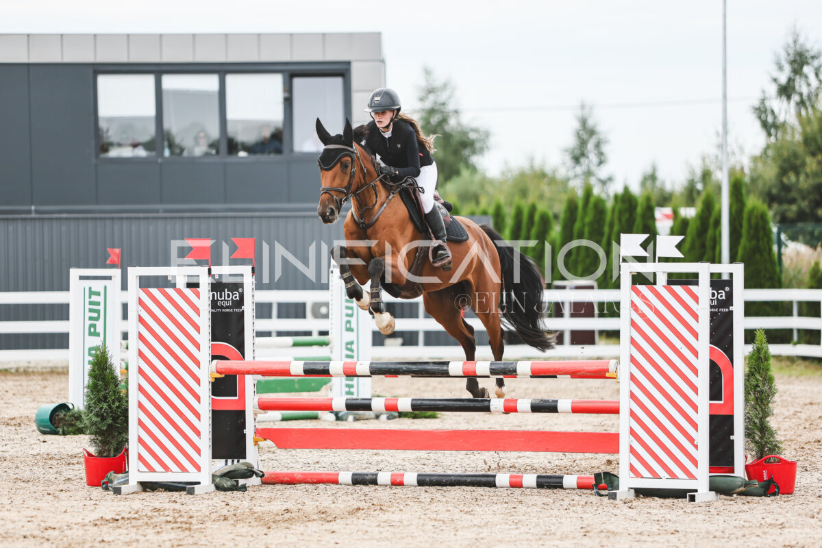 NHTS_2026_4_95cm_270