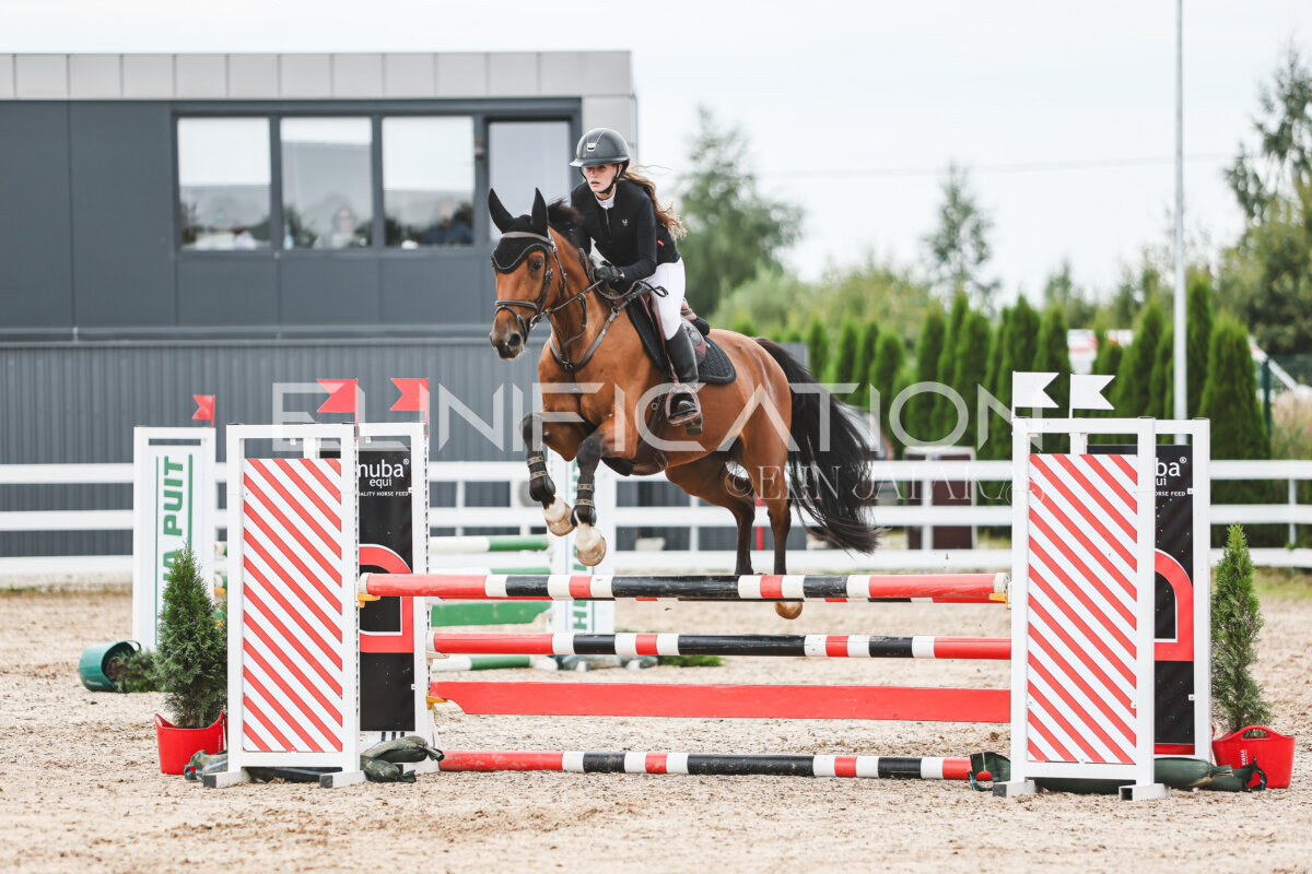 NHTS_2026_4_95cm_271