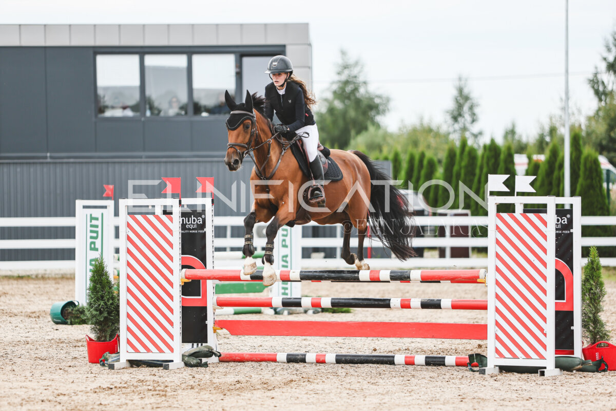 NHTS_2026_4_95cm_272
