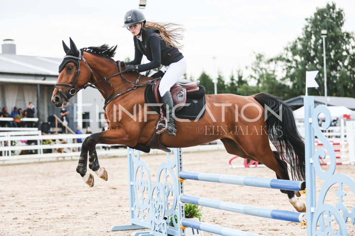 NHTS_2026_4_95cm_273