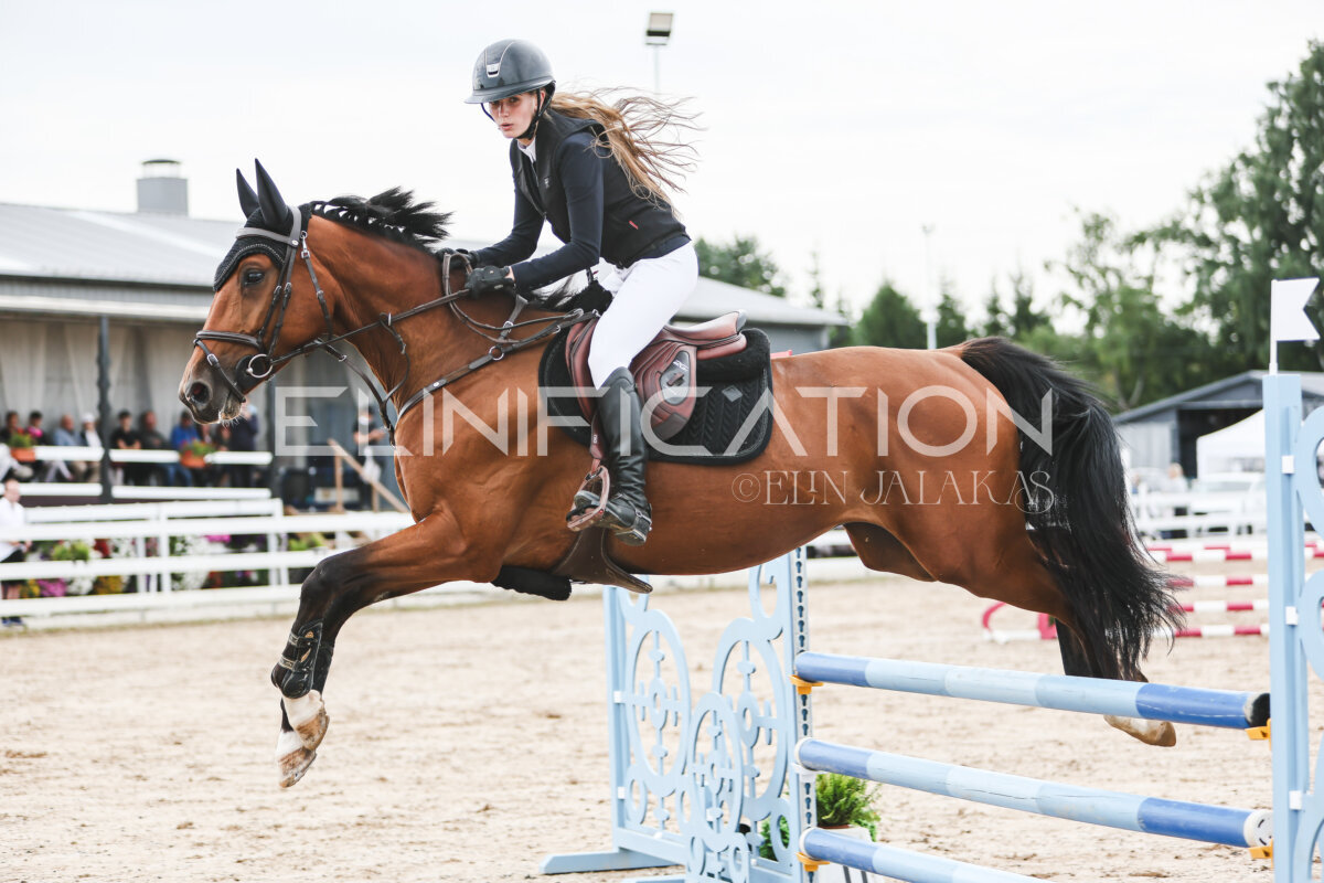 NHTS_2026_4_95cm_274