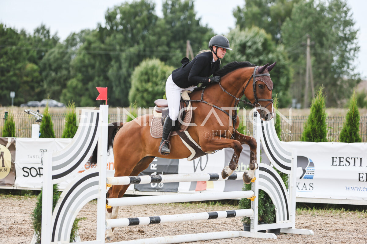 NHTS_2026_4_95cm_275