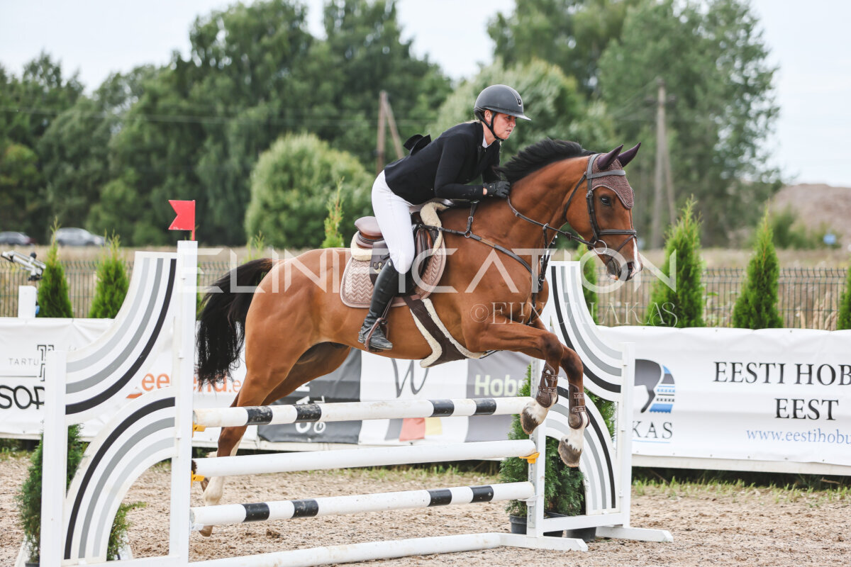NHTS_2026_4_95cm_276