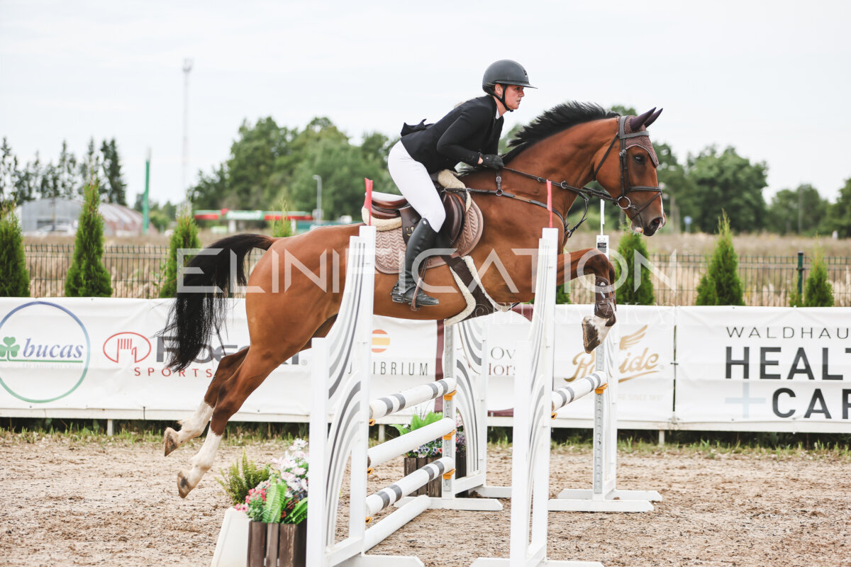 NHTS_2026_4_95cm_277