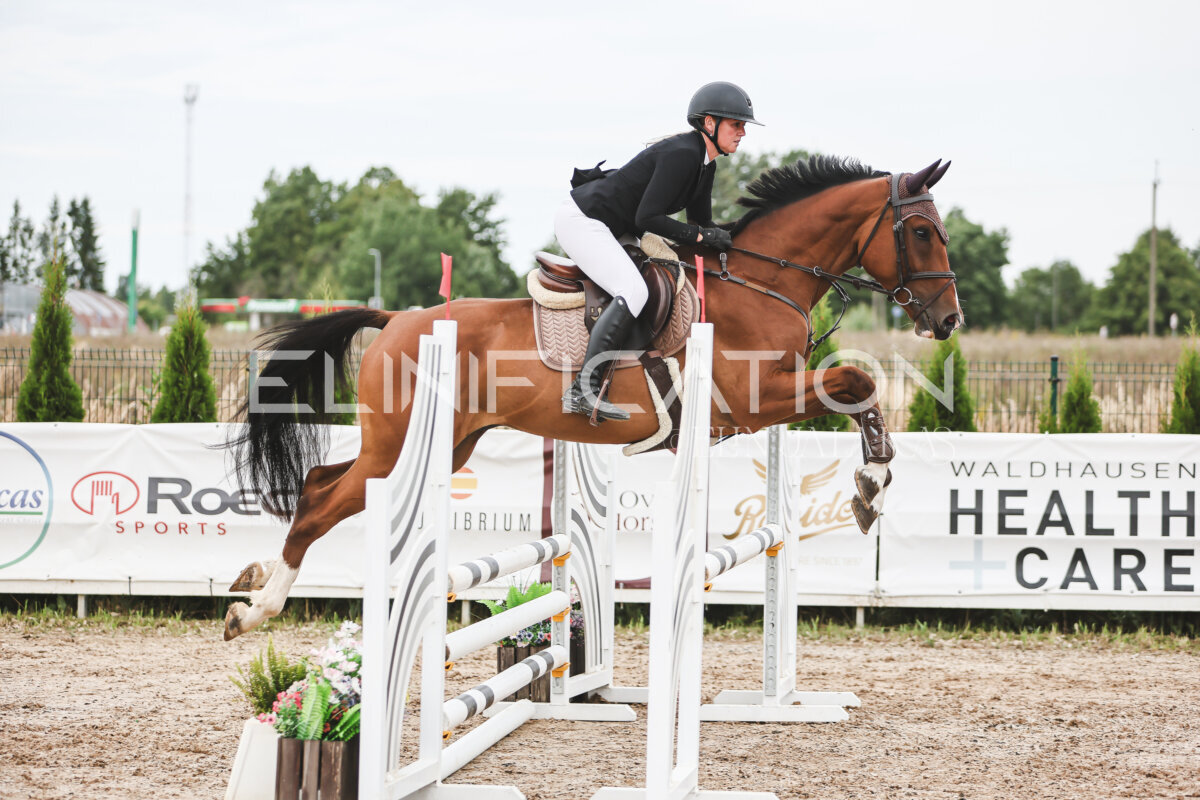 NHTS_2026_4_95cm_278