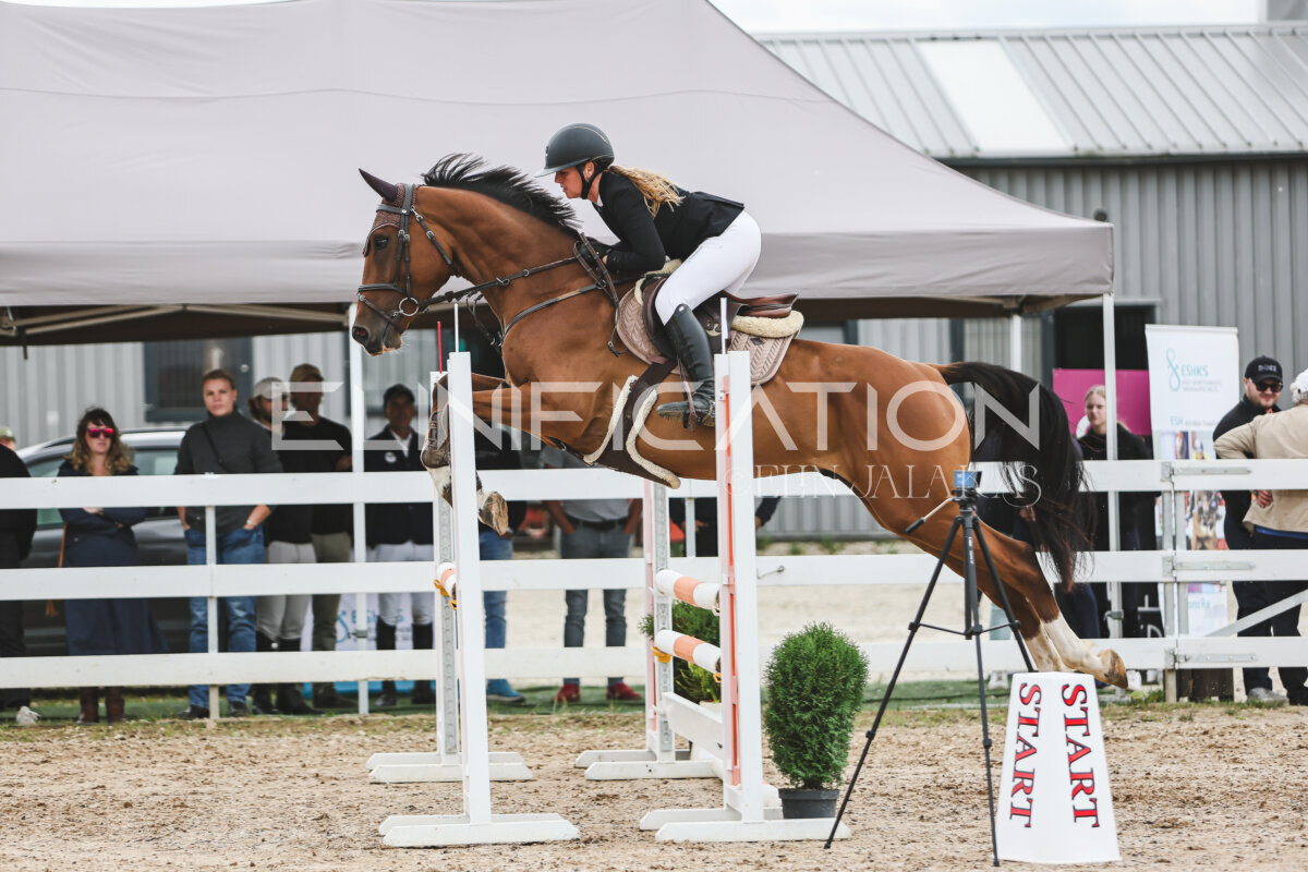 NHTS_2026_4_95cm_281