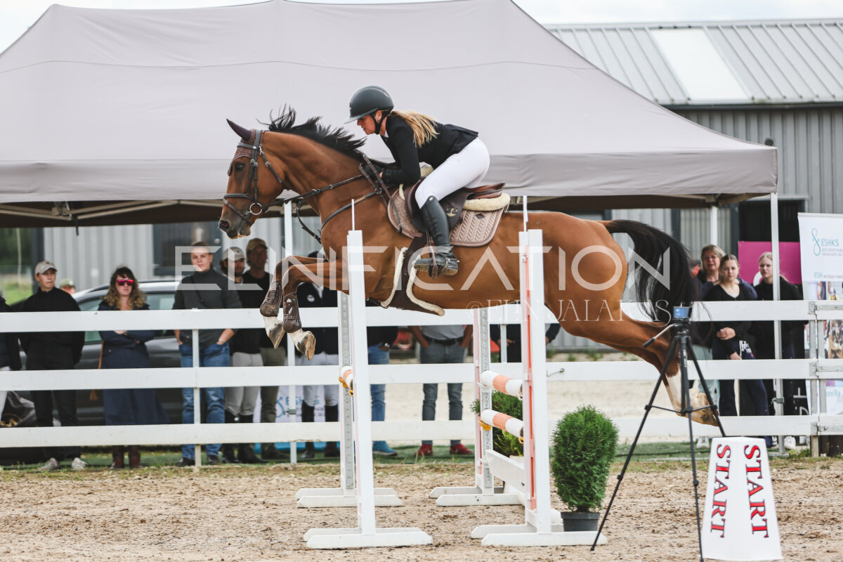 NHTS_2026_4_95cm_282
