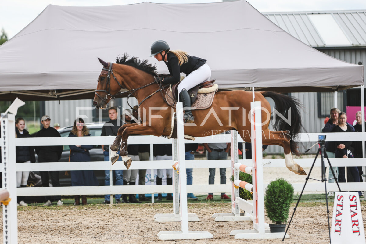 NHTS_2026_4_95cm_283