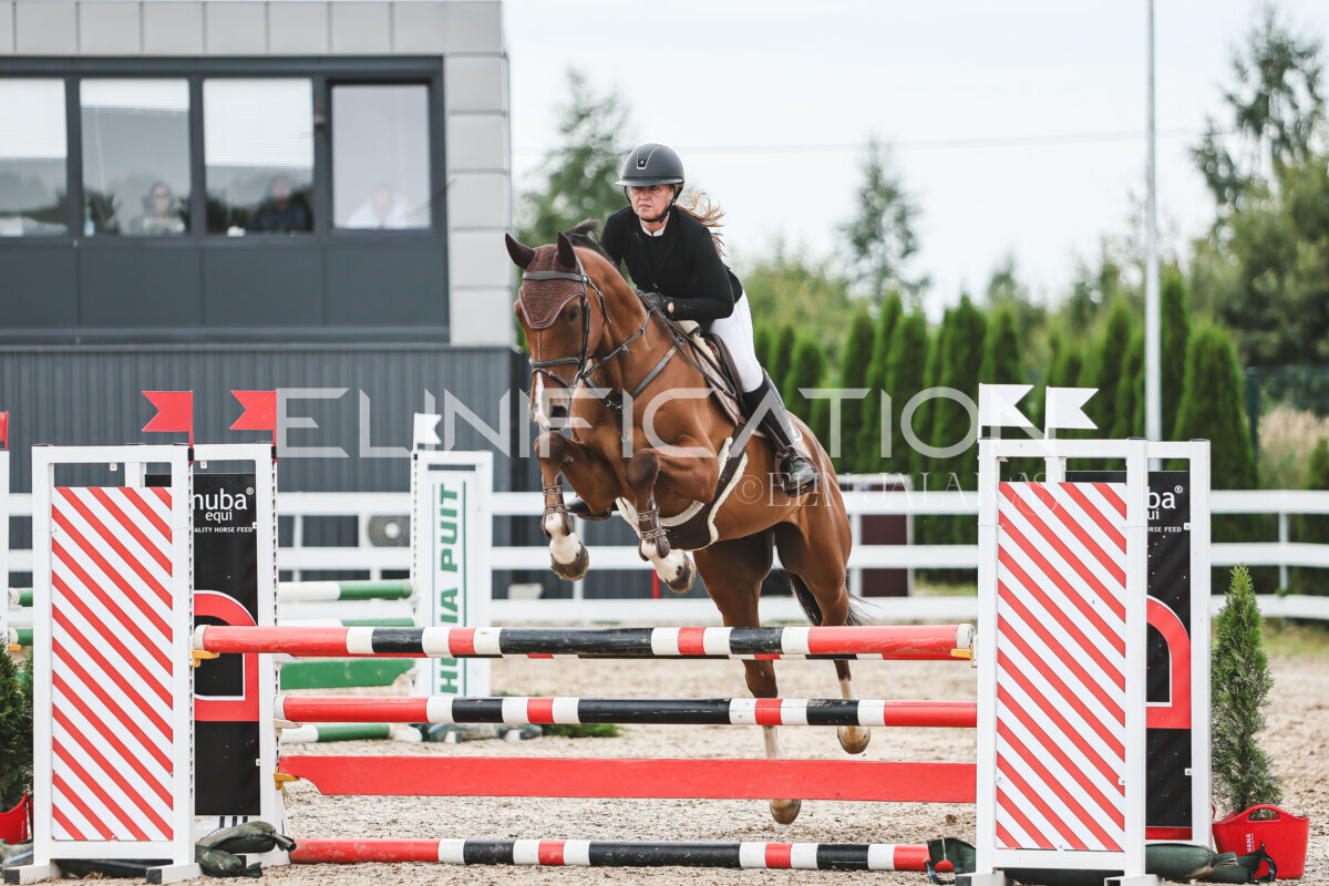 NHTS_2026_4_95cm_284