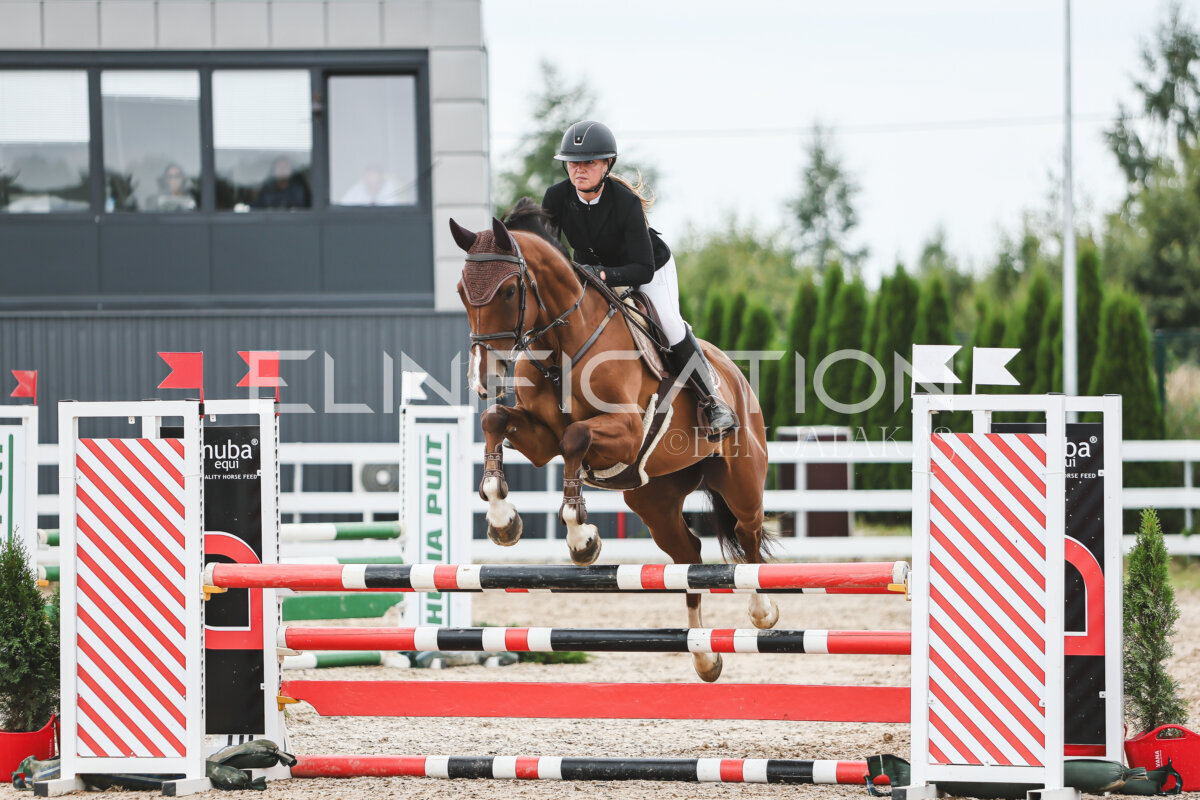 NHTS_2026_4_95cm_285