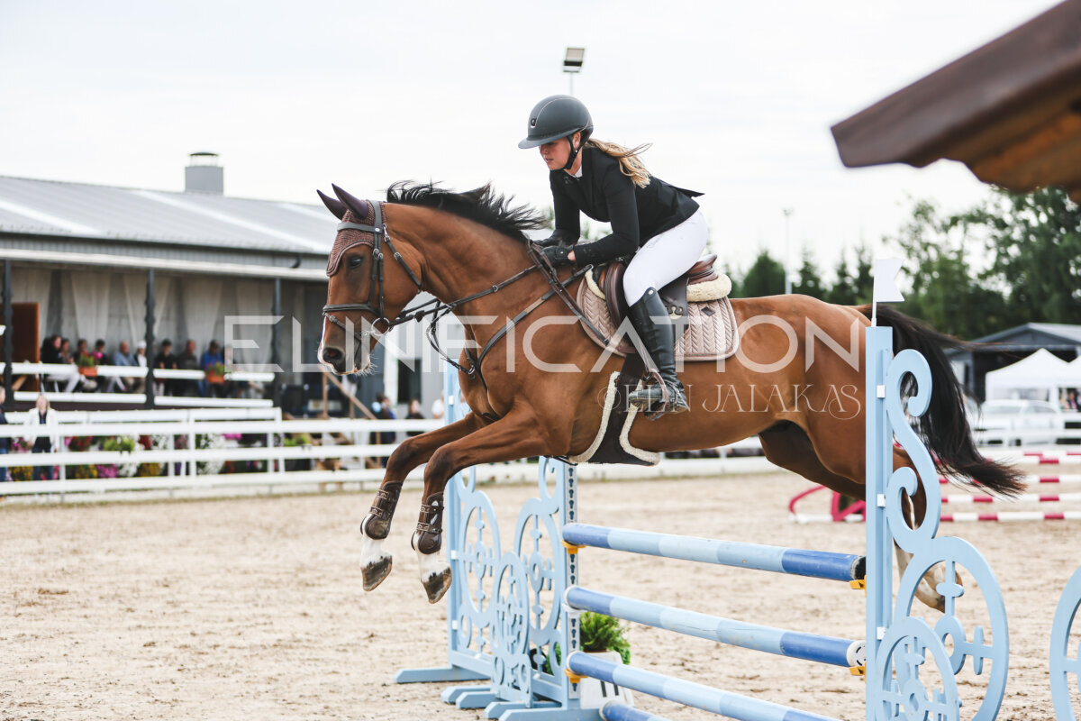 NHTS_2026_4_95cm_286